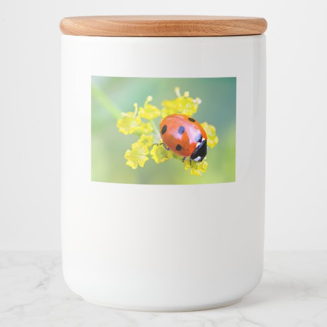 Dame oben lebensmitteletikett (Vorderseite)