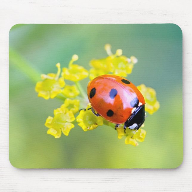 Dame oben mousepad (Vorne)