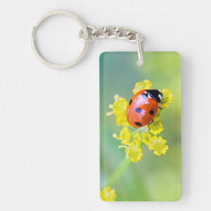 Dame oben schlüsselanhänger