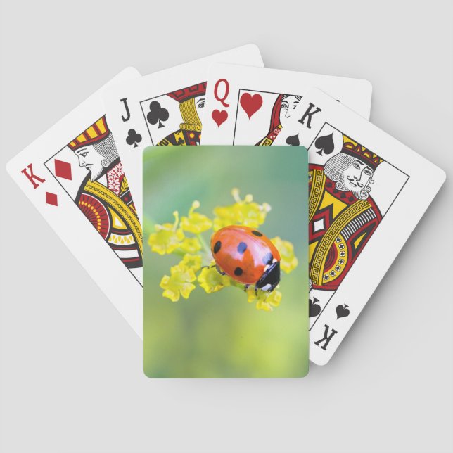 Dame oben spielkarten (Rückseite)