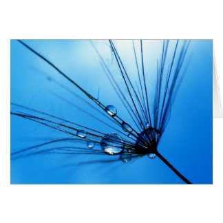 Dame Sings The Blues Card