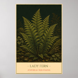 Damenfarn – Vintage botanische Illustration Poster