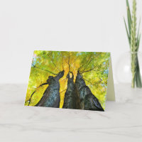 Damentanz, Herbst, Herbst, Baum