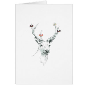 Damhirschkuhnuß Rotwild