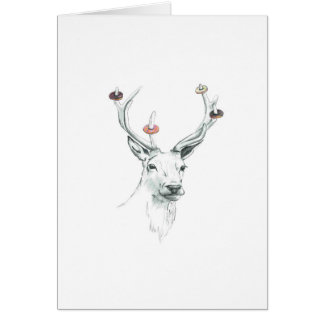 Damhirschkuhnuß Rotwild