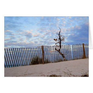 Dämmerung an Jupiter-Strand