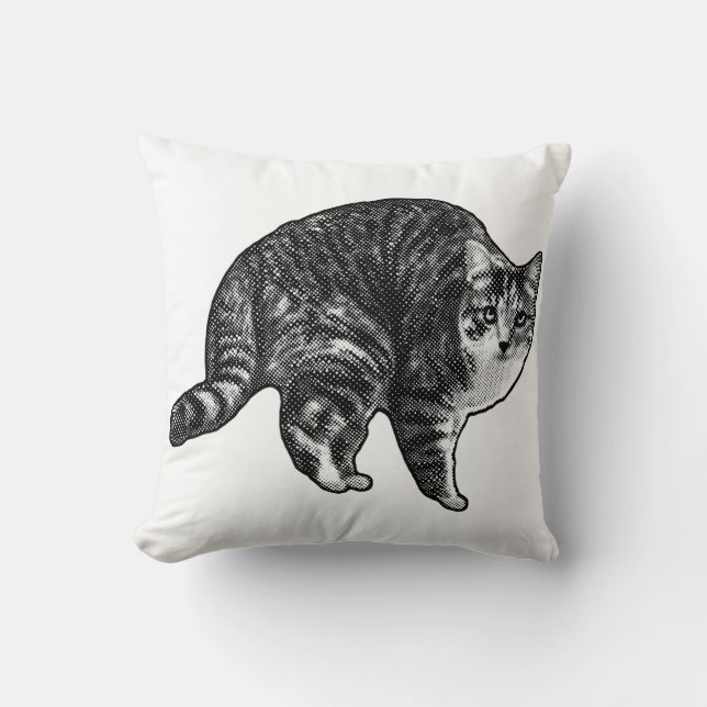 Dämmerung Tabby Uhr Kissen (Vorderseite)