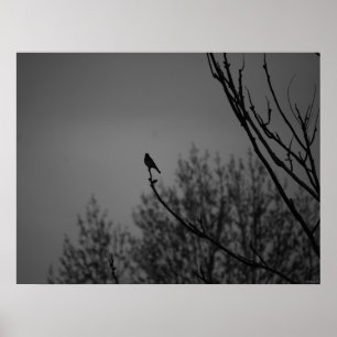 Dämmerungs-Vogel Poster