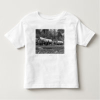 Dampf, der die Kaskaden von Washington-Notfall