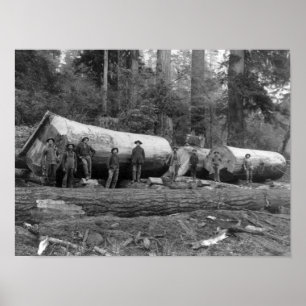 Dampf, der die Kaskaden von Washington-Notfall Poster