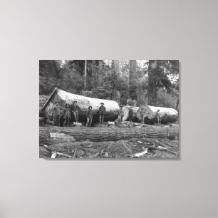 Dampf-Logging in den Kaskaden des Washingtoner Sta Leinwanddruck