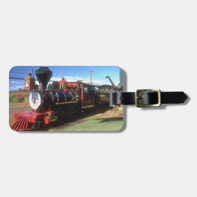 Dampf-Zug-Gepäck-Umbau Gepäckanhänger (Vorderseite horizontal)