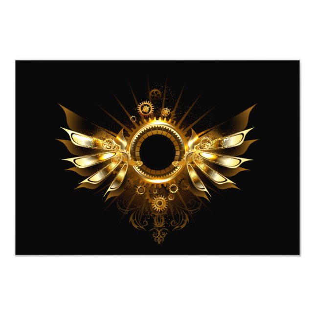 Dampfflügel Fotodruck (Vorne)