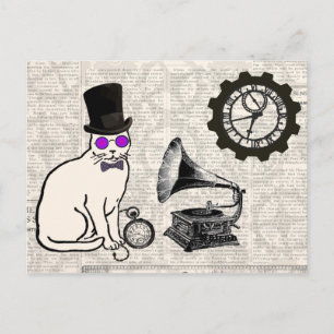 Dampfkatze Postkarte