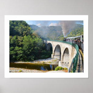 Dampflokomotive auf Brücke Poster