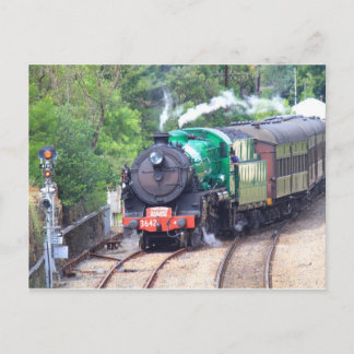 Dampfzug bei Picton Postkarte