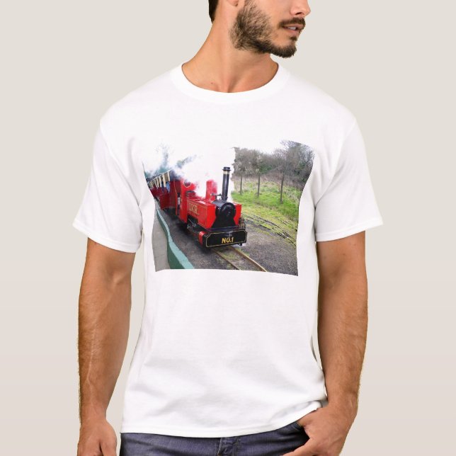 Dampfzug Lappa Valley T-Shirt (Vorderseite)