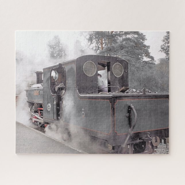 DAMPFZUG PUZZLE (Horizontal)