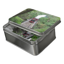 Dampfzug - Tal y Lyn Railway Wales - Tin