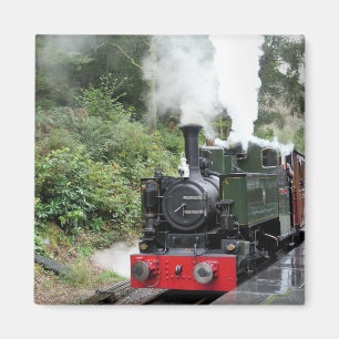 DAMPFZÜGE MAGNET