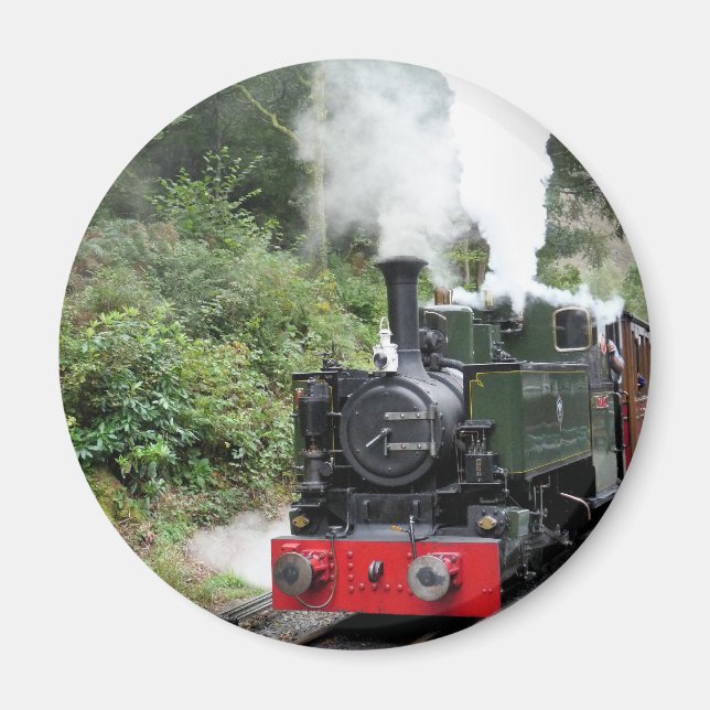 DAMPFZÜGE MAGNET (Vorne)