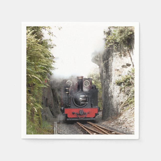 DAMPFZÜGE SERVIETTE (Vorderseite)