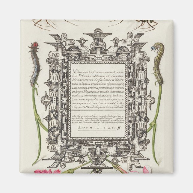 Damselflies, Raupen, Narbe und Dichter Magnet (Vorne)