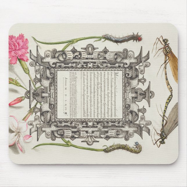 Damselflies, Raupen, Narbe und Dichter Mousepad (Vorne)