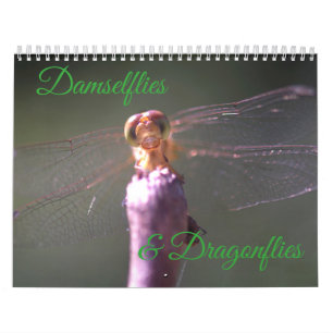 Damselflies-und Libellen-Kalender Kalender