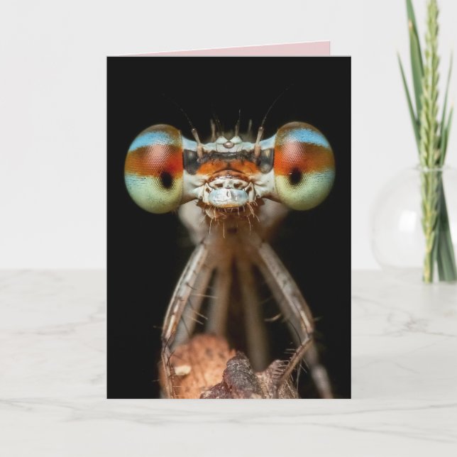 DAMSELFLY BIRTHDAY CARD KARTE (Vorderseite)
