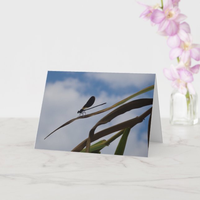 Damselfly in Blue Sky Card Karte (Orchidee)