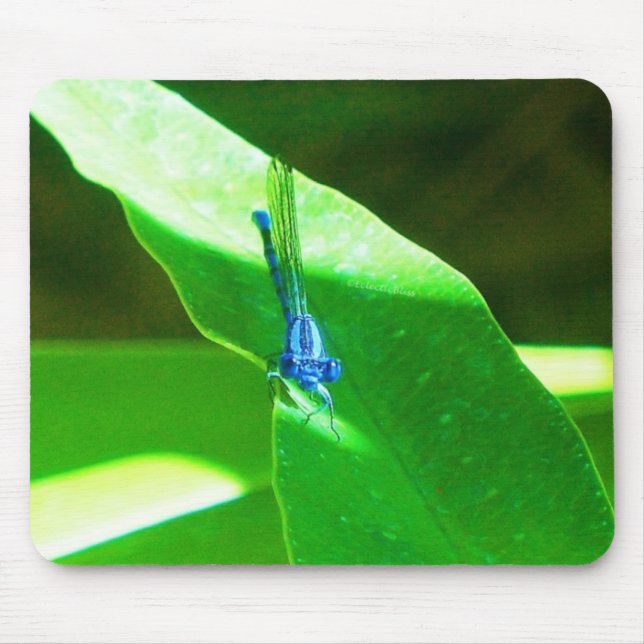 Damselfly Mousepad (Vorne)