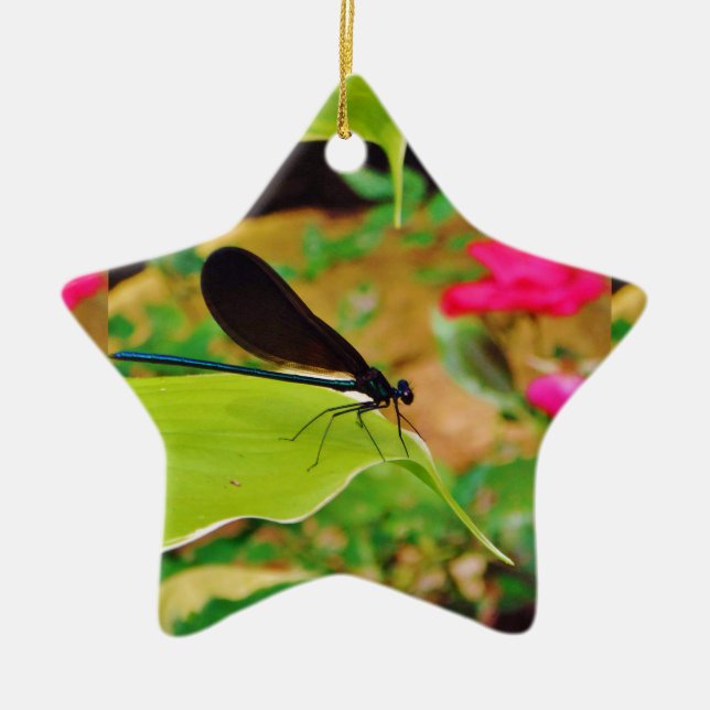 Damselfly und Rose Keramik Ornament (Vorne)