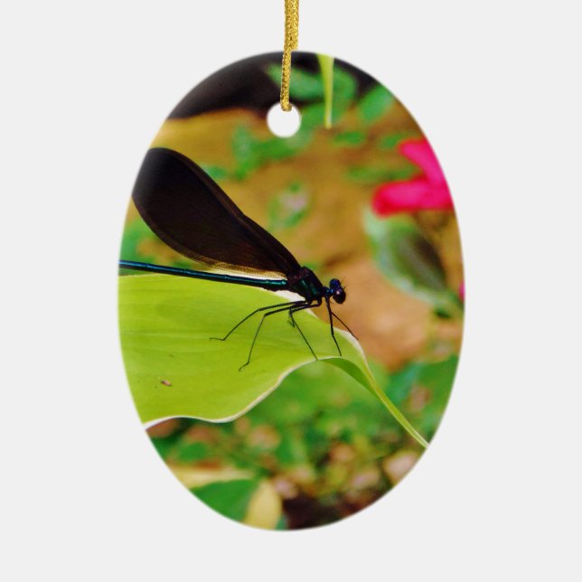 Damselfly und Rose Keramikornament (Vorne)