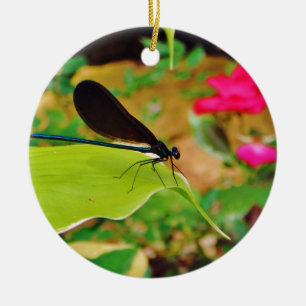 Damselfly und Rose Keramikornament