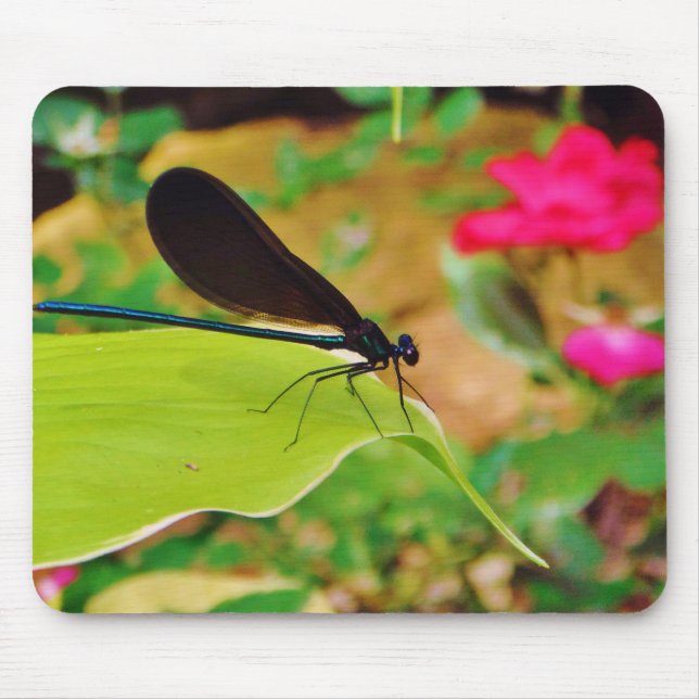 Damselfly und Rose Mousepad (Vorne)