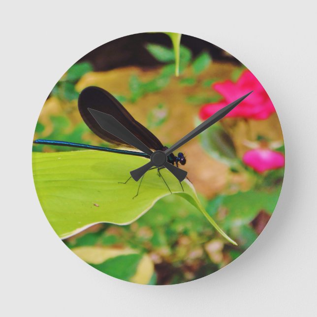 Damselfly und Rose Runde Wanduhr (Vorderseite)
