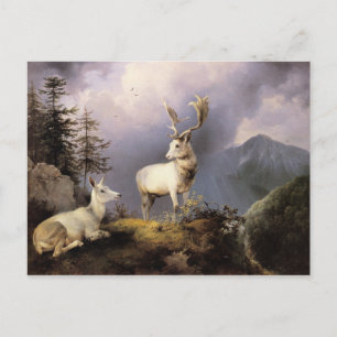 Damwild, Friedrich Gauermann, 1833 Postkarte