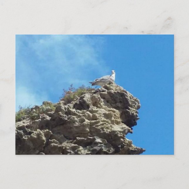 DANA POINT #3 POSTCARD POSTKARTE (Vorderseite)