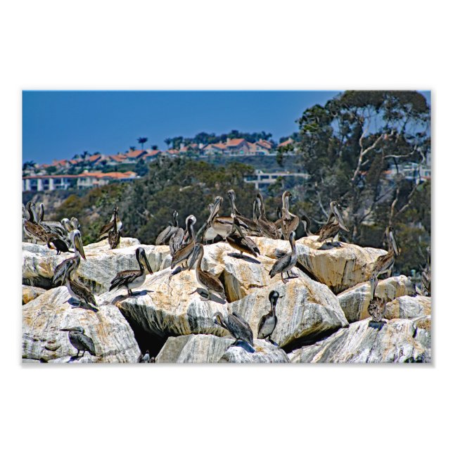 Dana Point Fotodruck (Vorne)