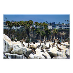 Dana Point Fotodruck