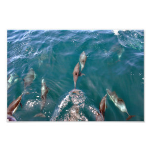 Dana Point Fotodruck