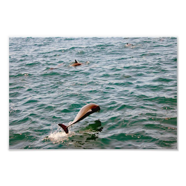 Dana Point Fotodruck (Vorne)
