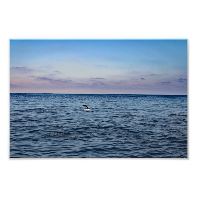Dana Point Fotodruck (Vorne)