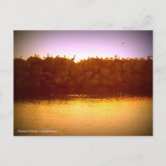 Dana Point Sunset Postkarte (Vorderseite)