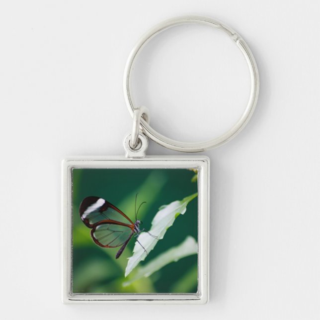 Dana Schlüsselanhänger (Vorne)