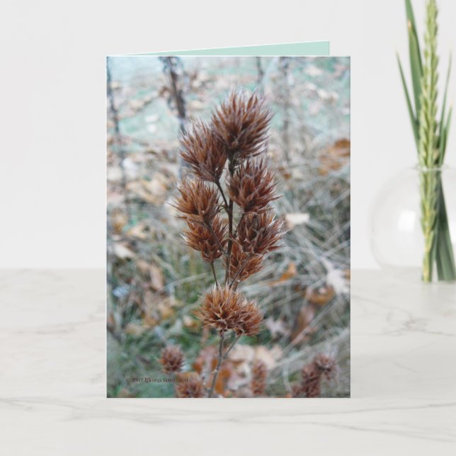 Danach Karte (Vorderseite)