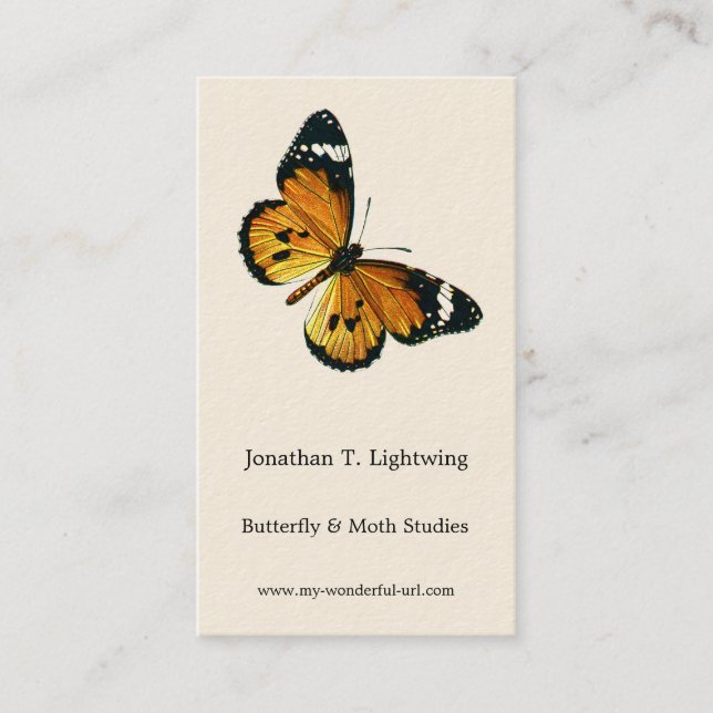 Danaus chrysippus - Schlichter Tiger oder afrikani Visitenkarte (Vorderseite)