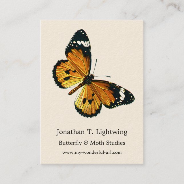 Danaus chrysippus - Schlichter Tiger oder afrikani Visitenkarte (Vorderseite)