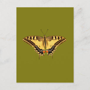 Dancing Butterfly Postkarte